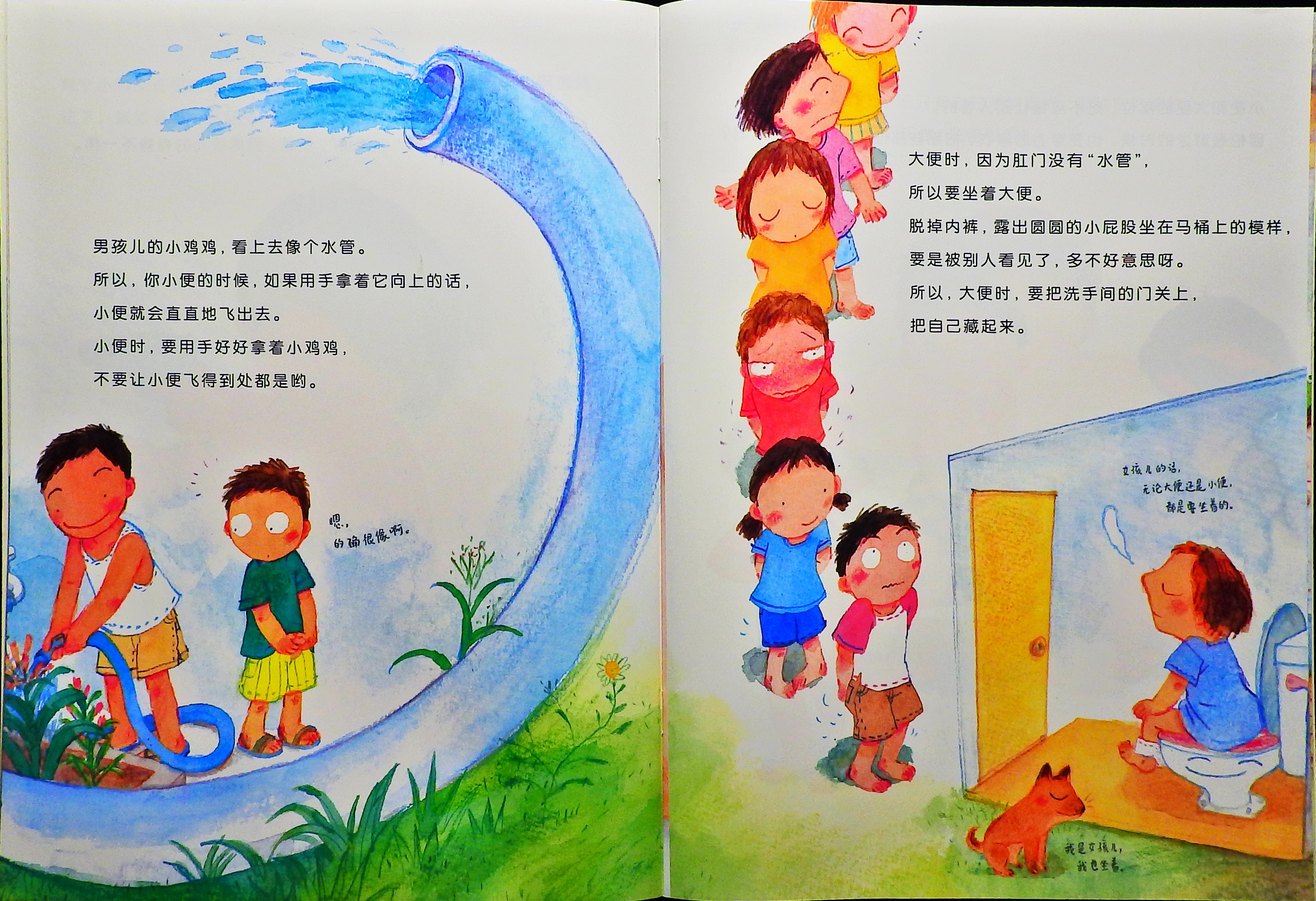 小鸡鸡的故事 (05),绘本,绘本故事,绘本阅读,故事书,童书,图画书,课外阅读